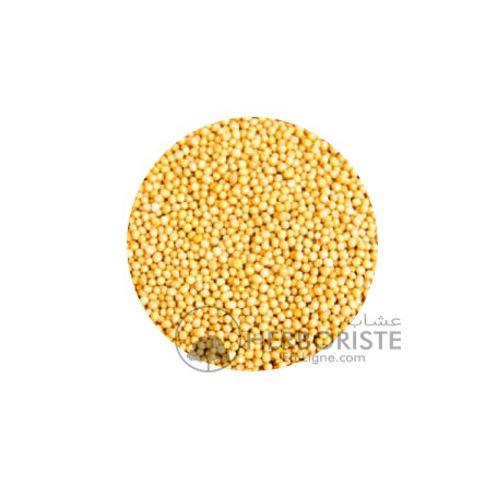 Moutarde jaune Mystique - Khardal - 50g - الخردل الأصفر