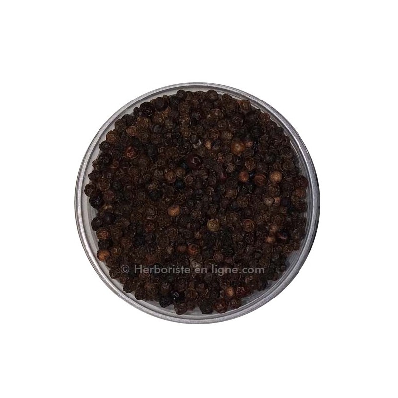 Graines de Poivre noir - Piper nigrum - Boutique Végétale