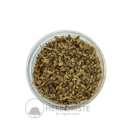 Pollen de palmier - Talaa anakhil - 40g - طلع النخيل