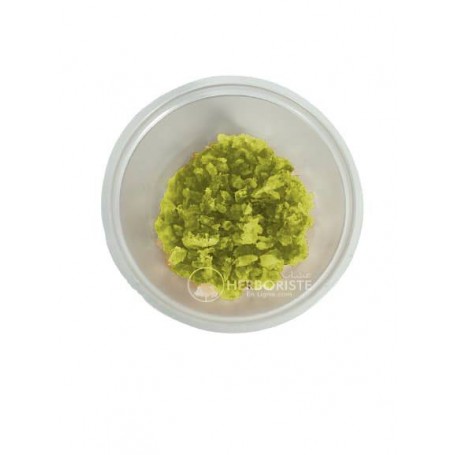 Musk Musc à brûler pour encens - Bokhour Musc Musk - jaune - 20g -مسك اصفر للبخور