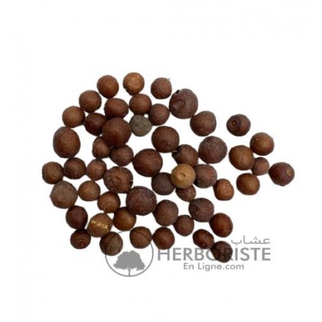 Fruit Jujube séchée - Nbag - Nibig - Azeggwar - Azegg - 20g - أوراق النبق المجففة