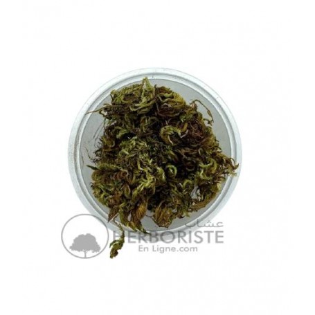 Sanbal - Sunbul - Sembel - Valeriana - 20g - سنبل