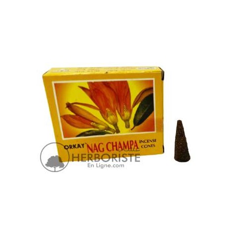 10 cônes d'encens Nag champa - 20g