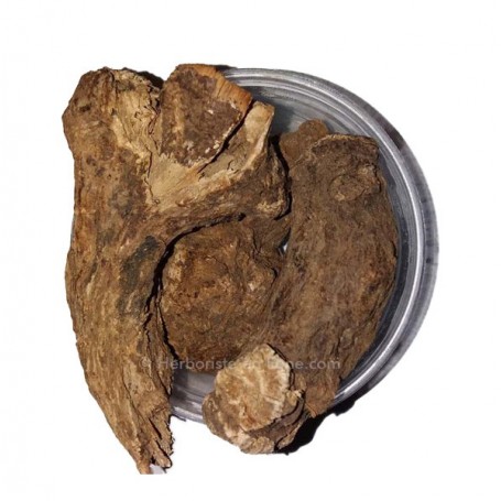 Costus indian en morceaux - Al Qist Al-Hindi - 50g - القسط الهندي