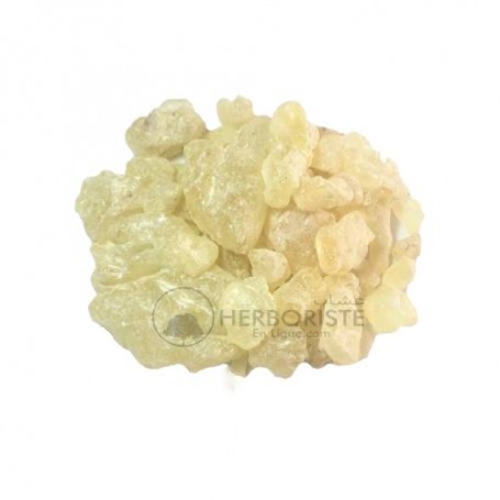 Encens Dammar - Damar - Mustaka - 20g - بخورمستكي