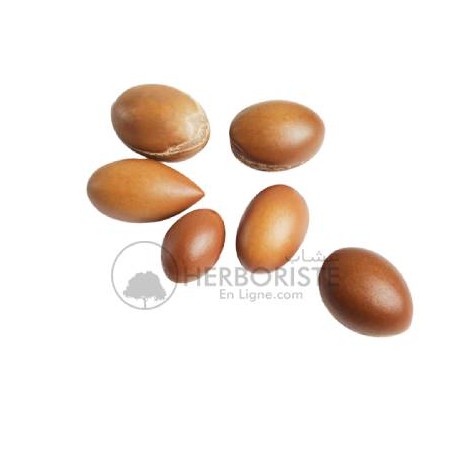 Noix d'Argan épluchée - 20g - نواة الأركان