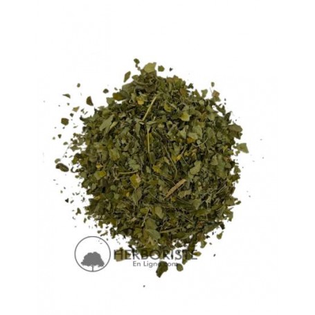 Moringa oleifera - feuilles de moringa - 40g