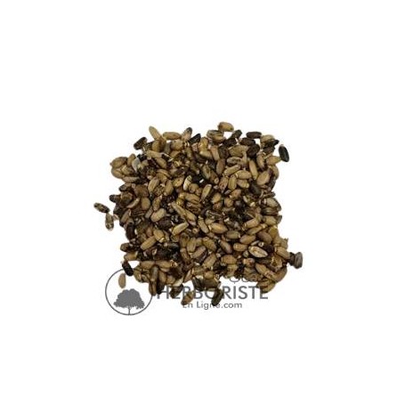 Graines d'épine d'ânes - Graines de chardon Marie - Silybum marianum L - 100g - بذور الشوك