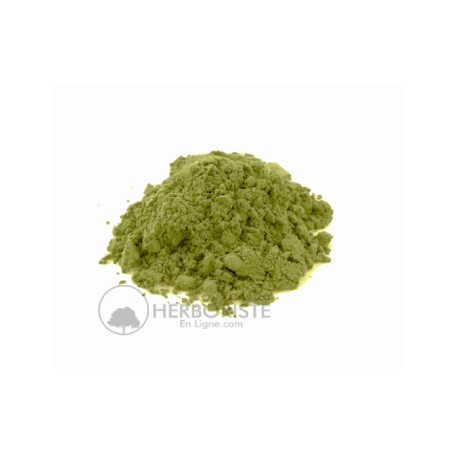 Henna Cassia - Henné Gassia - Henné Cassia en poudre - 50g - حنة كاسيا ( الحارة)