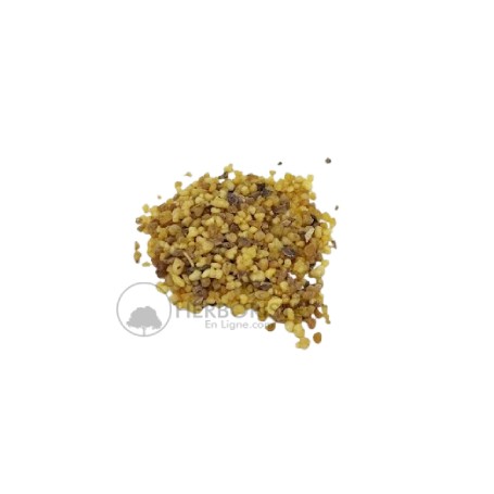 Encens Salaban - Salabane pour Rituel (Petits Grains) - 20g