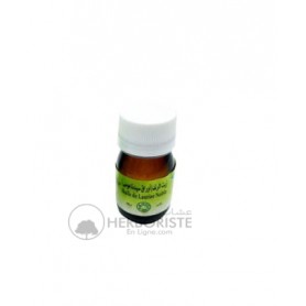 Huile Essentielle de Laurier Noble - 30ml - (زيت الرند (أوراق سيدنا موسى