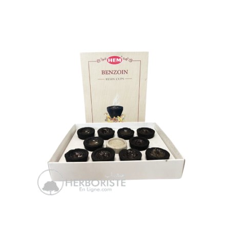 Encens Benjoin en Coupe Résine & Charbon – HEM Resin 10 coupes Sambrani - بخور الجاوي