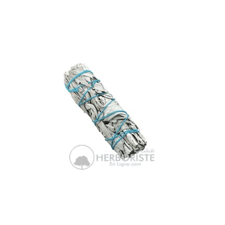Sauge blanche de Californie fagot - Salmiya - +/- 25g - سالمية البيضاء