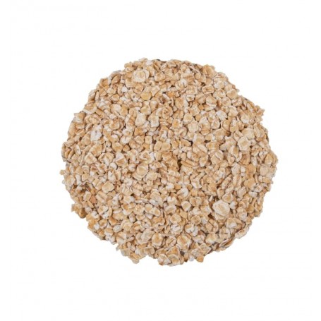 Avoine Byzantine - 100g - الشوفان