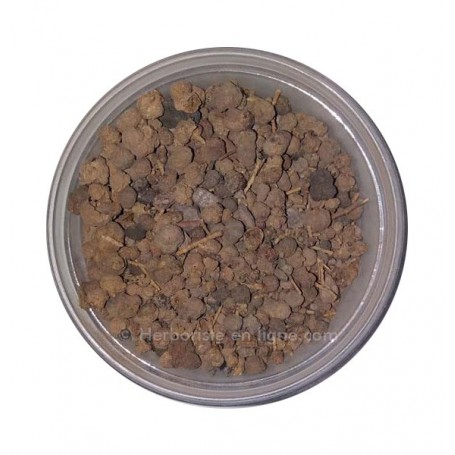 Takaout - Takawt - Tamarix aphylla - Tamarix Galle - 20g - تكاوت- العفص