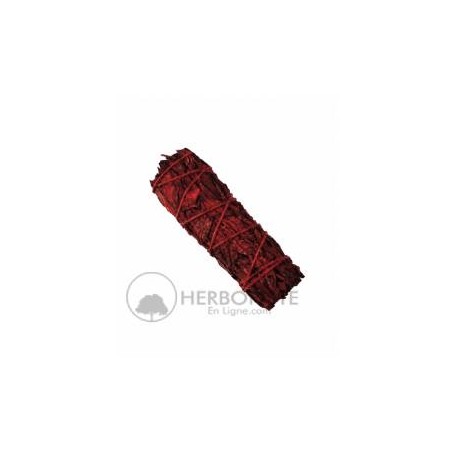 Sauge Rouge Sang de Dragon – Fagot - Salmiya - +/- 30g