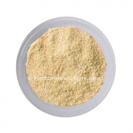 Haltita Masshouk  - Asafoetida Poudre - 20g