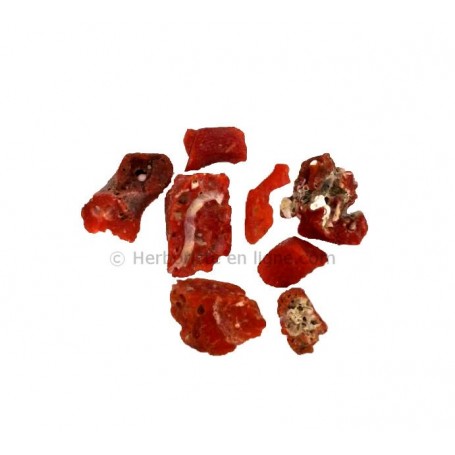 Almrjan Al Hor - Habat Rizk - 1g - المرجان الحر حبة الرزق