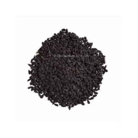 Poudre de Graine de Nigelle - Nigella Sativa (Habba Sawda Mathouna