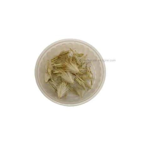 Herbe d'épine d'ânes - Taskra - Chardon aux ânes - Onopordum acanthium - Onopordon - 1g - شوك الحمار