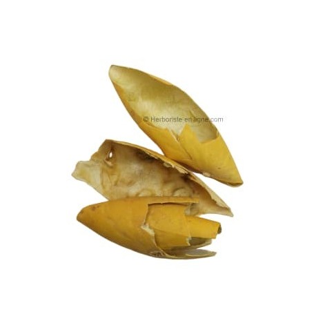 Peau de Coloquinte - 20g