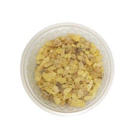 Sandaraque - Sandarac - Sandarous - 20g