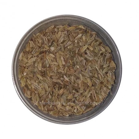 Graines de cumin d'Inde - Kamoun indien - 20g - حبوب الكمون