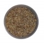 Graines de cumin d'Inde - Kamoun indien - 20g - حبوب الكمون