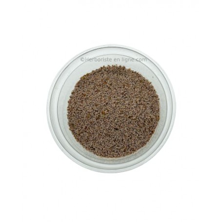 Katouna - Psyllium - 20g -  القطوناء