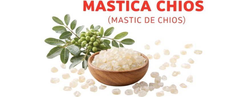 Mastica Chios – Mastic de Chios naturel et authentique | Herboriste en Ligne
