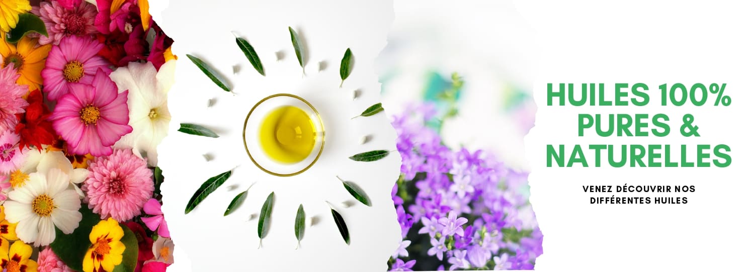 Nos différentes huiles